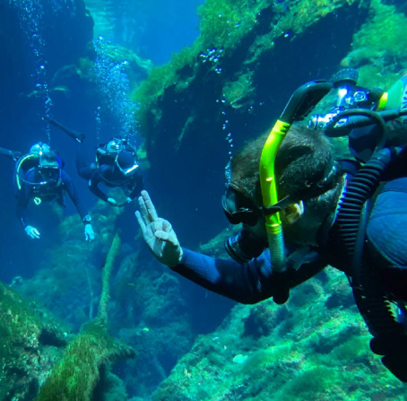 IDC_instructor_development_course_ape_divers Buceo en las cavernas de mexico, cursos de buceo en los cenotes